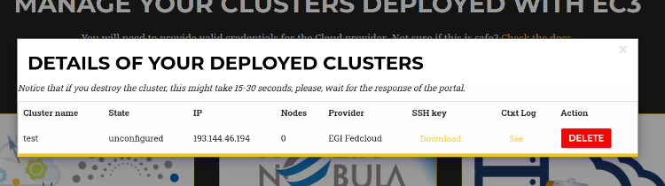 screen shown when listing the details of the deployed clusters in EC3aaS